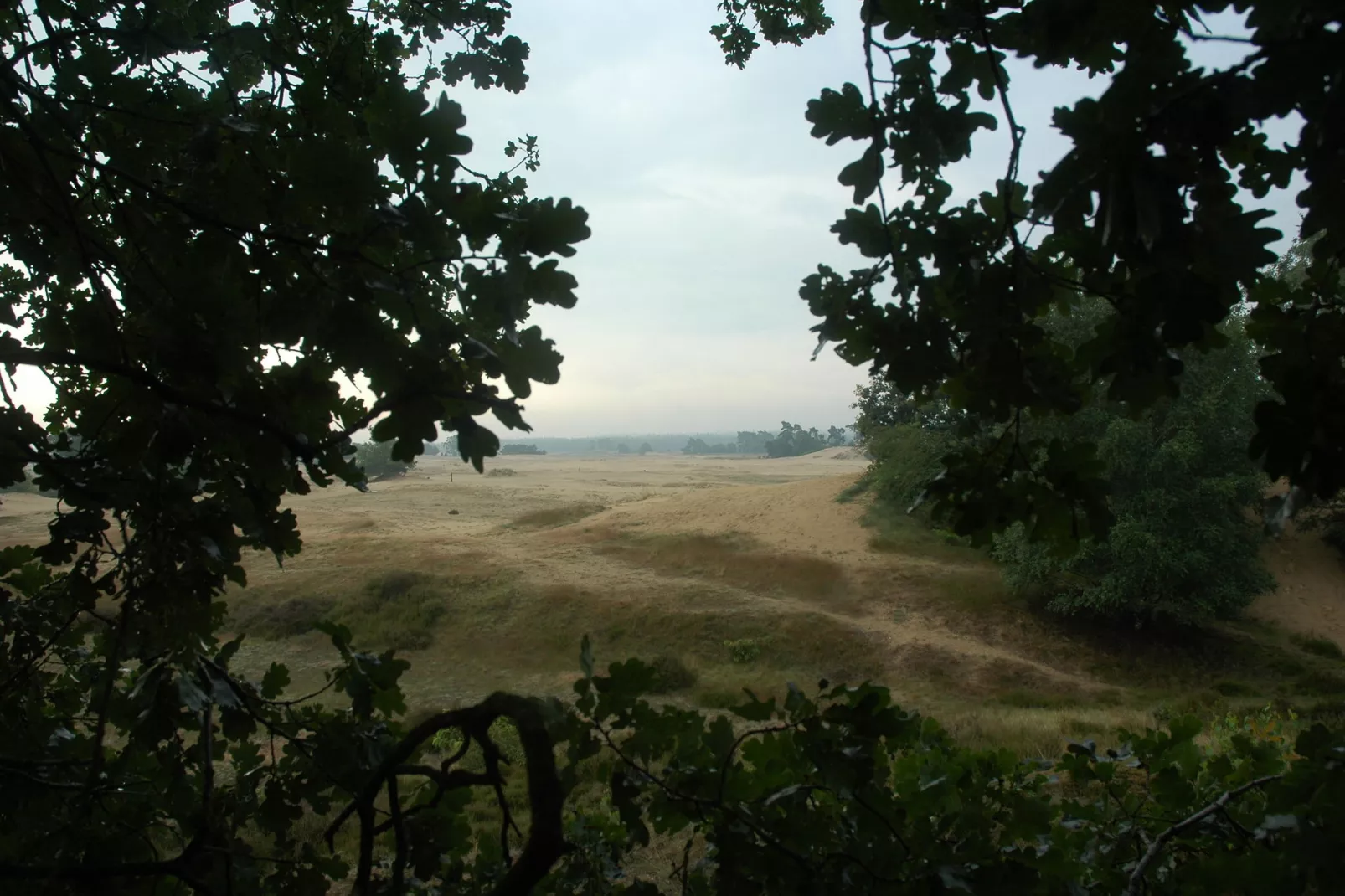 Landgoed De IJsvogel 3-Areas summer 20km