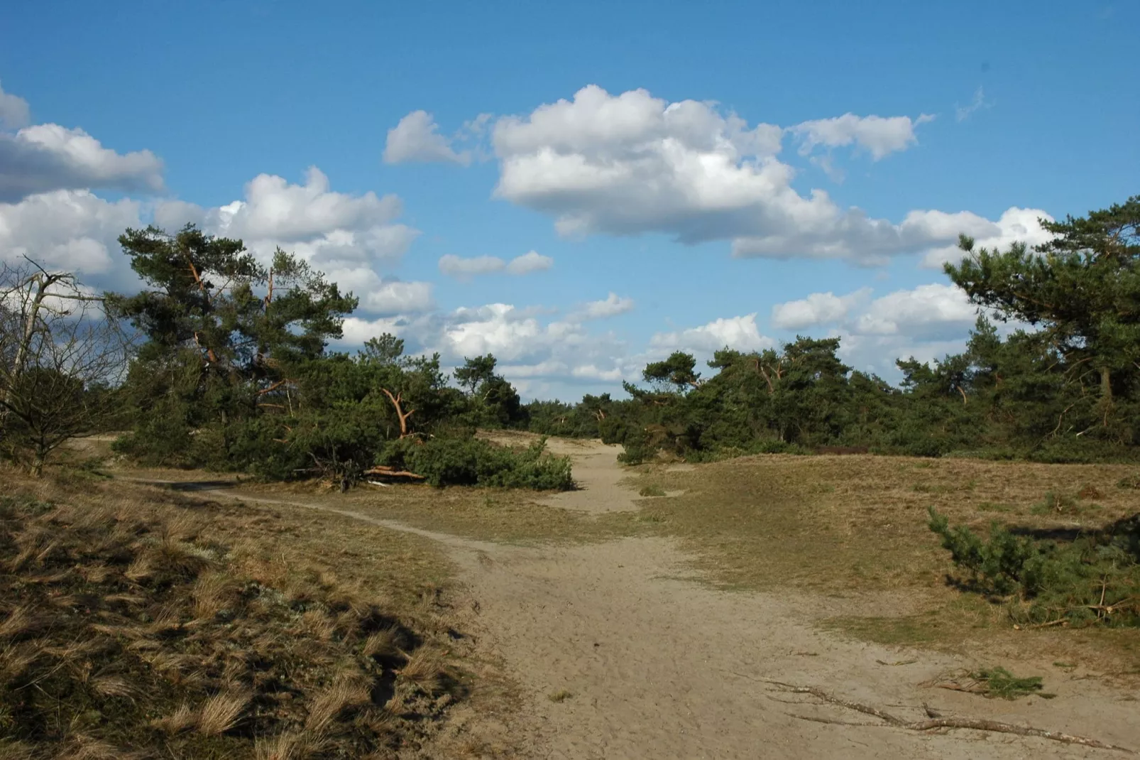 Landgoed De IJsvogel 3-Areas summer 20km