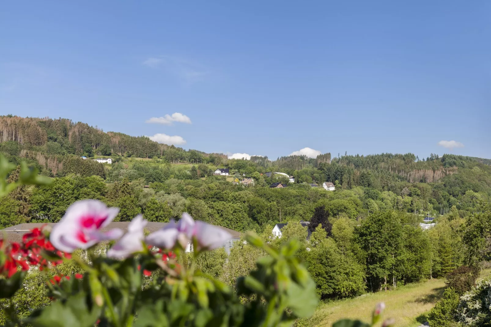 Köster-View in summer