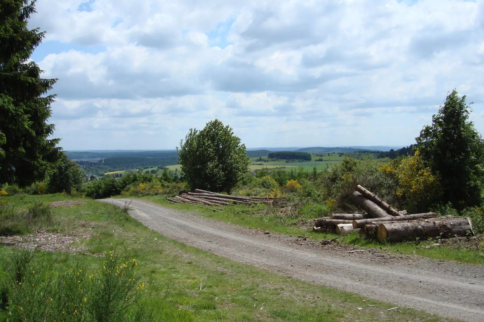 Köster-Areas within 5km in summer
