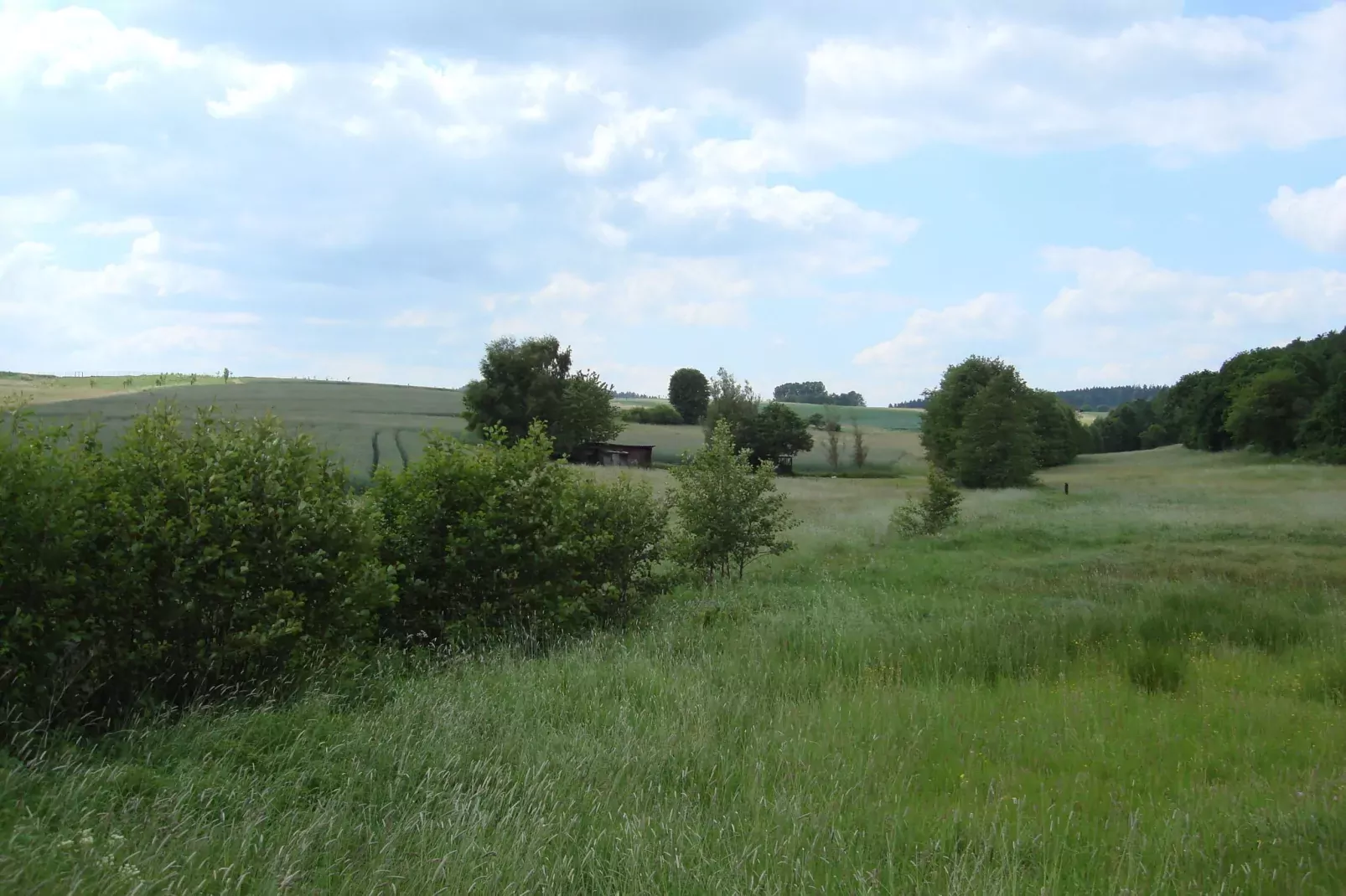 Köster-Areas within 5km in summer