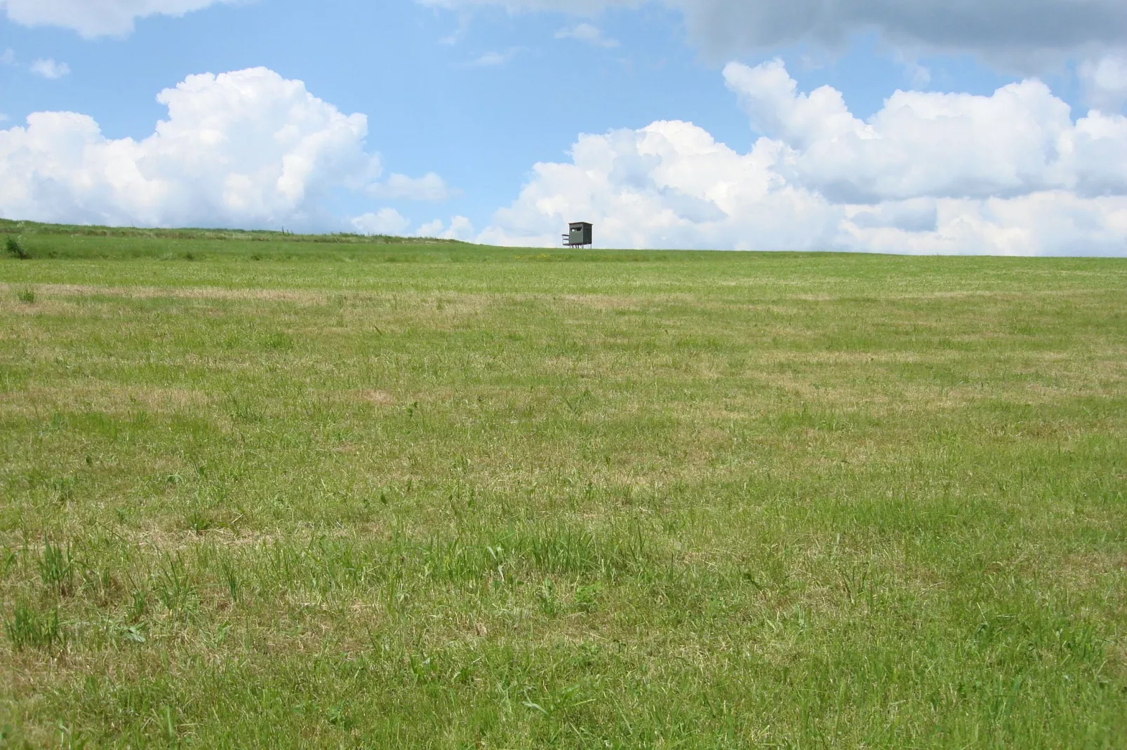 Köster-Areas within 5km in summer