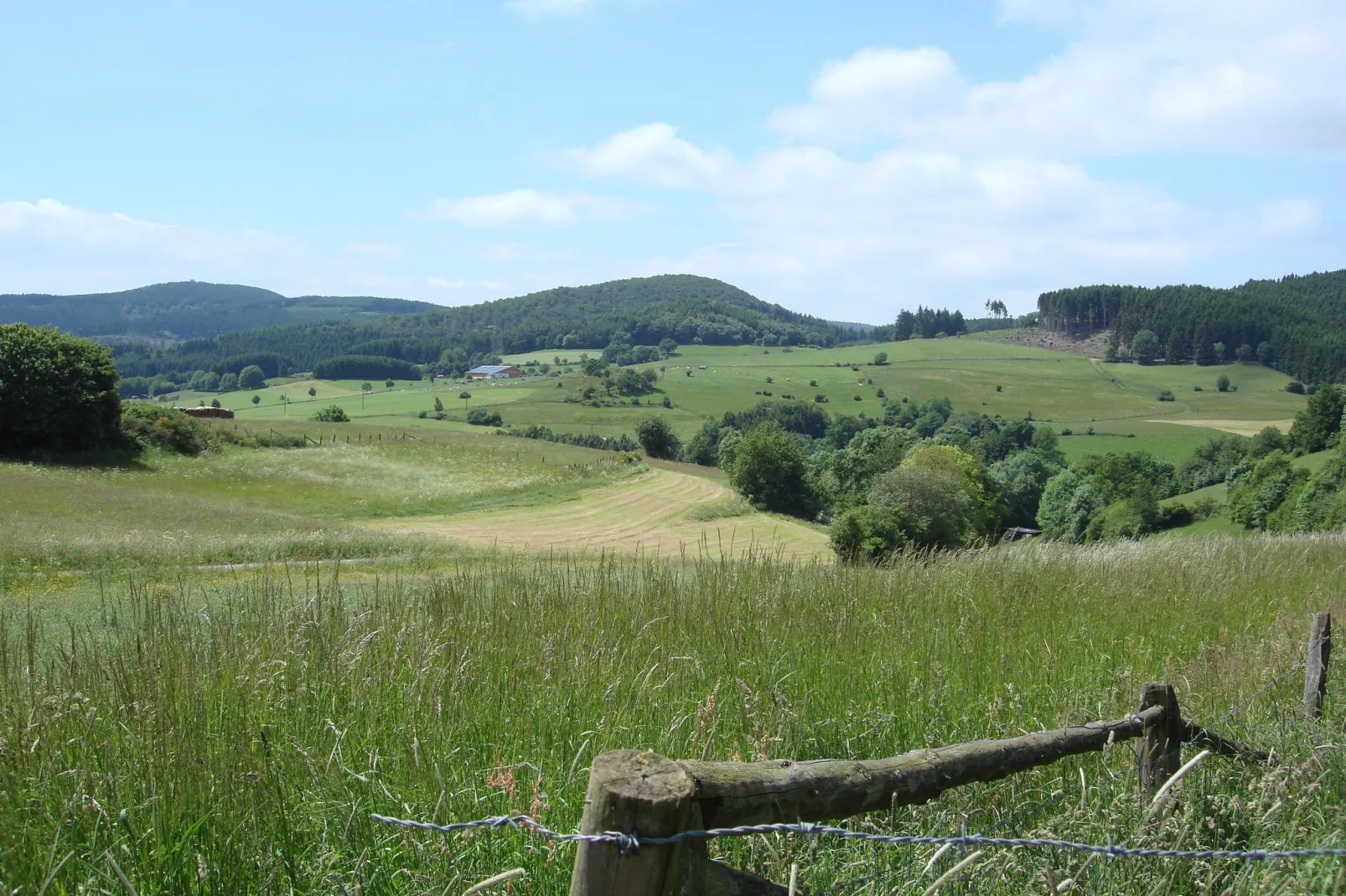 Köster-Areas within 5km in summer