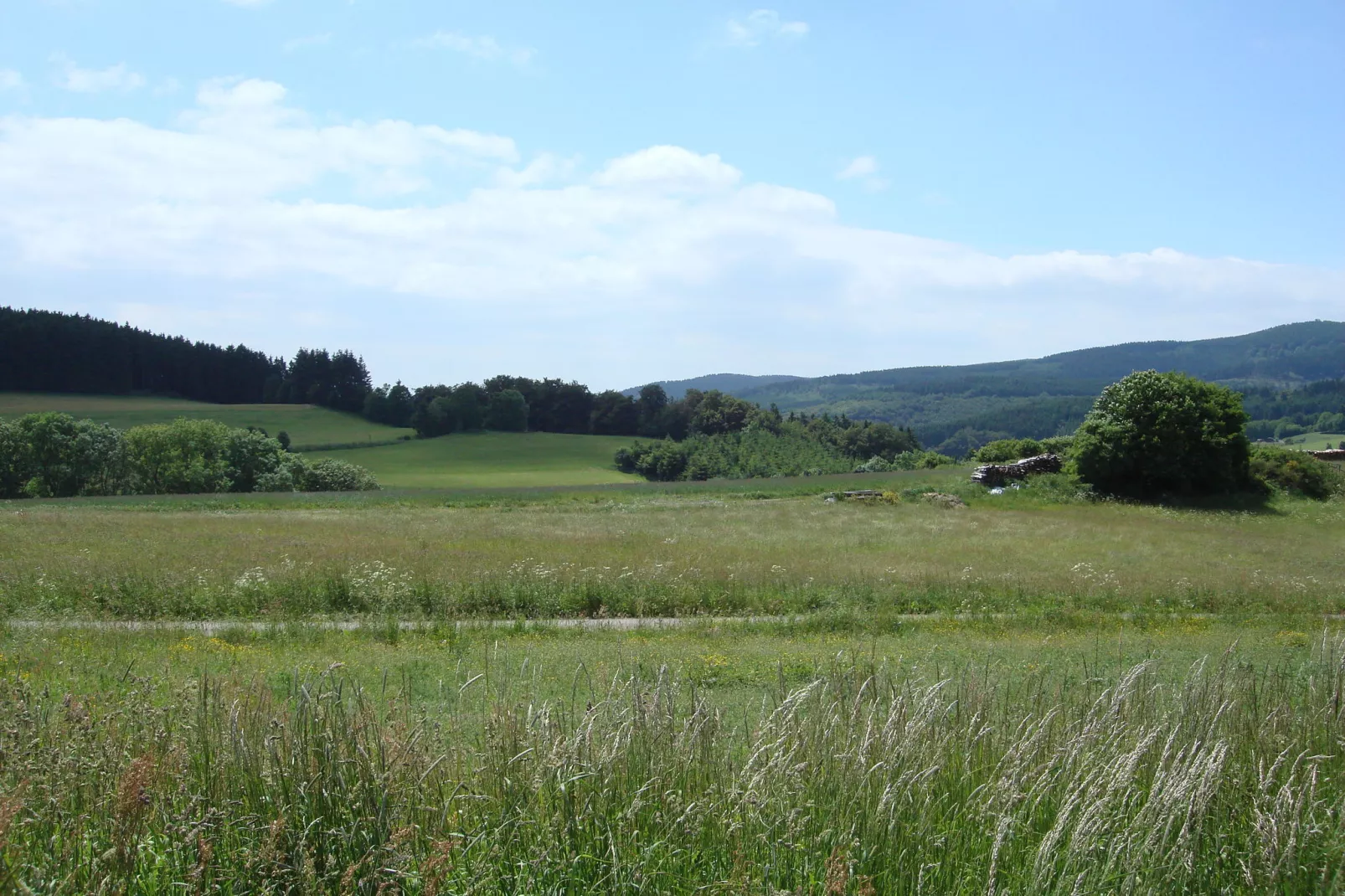 Köster-Areas within 5km in summer