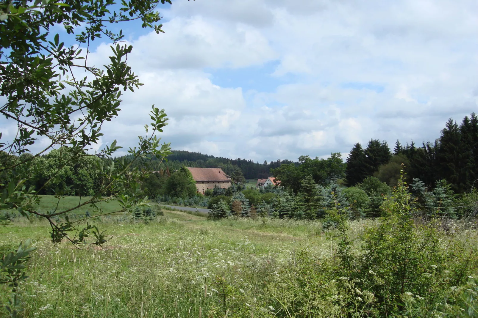 Köster-Areas within 5km in summer