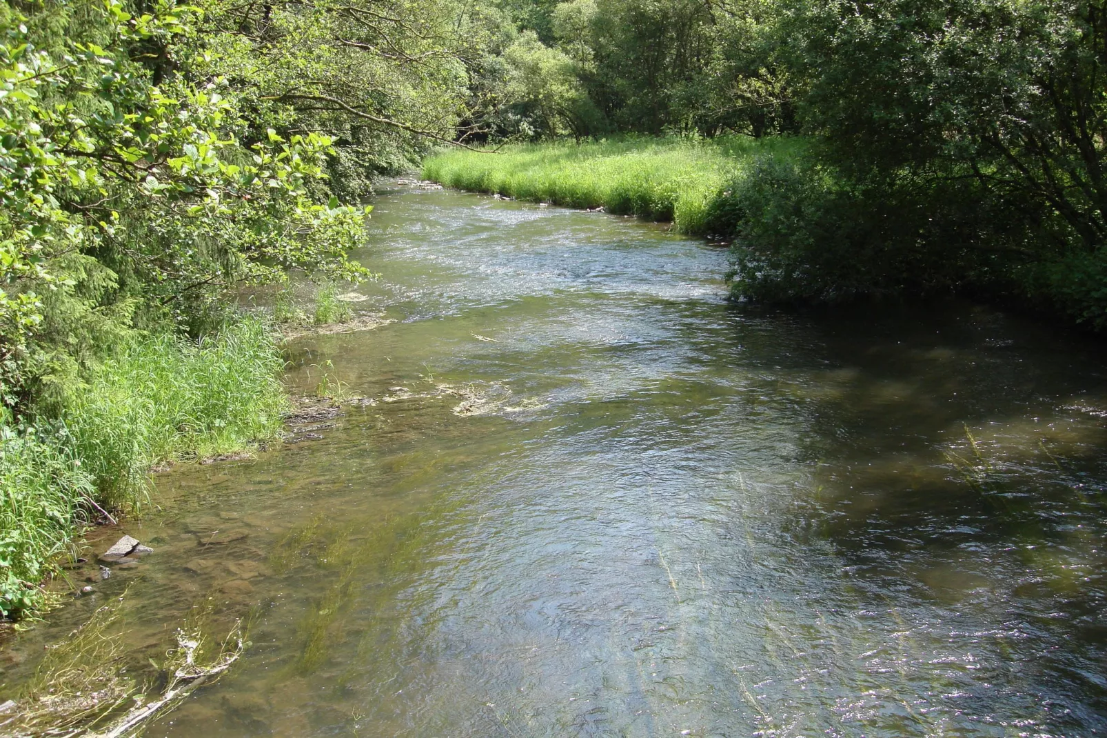 Köster-Areas within 5km in summer