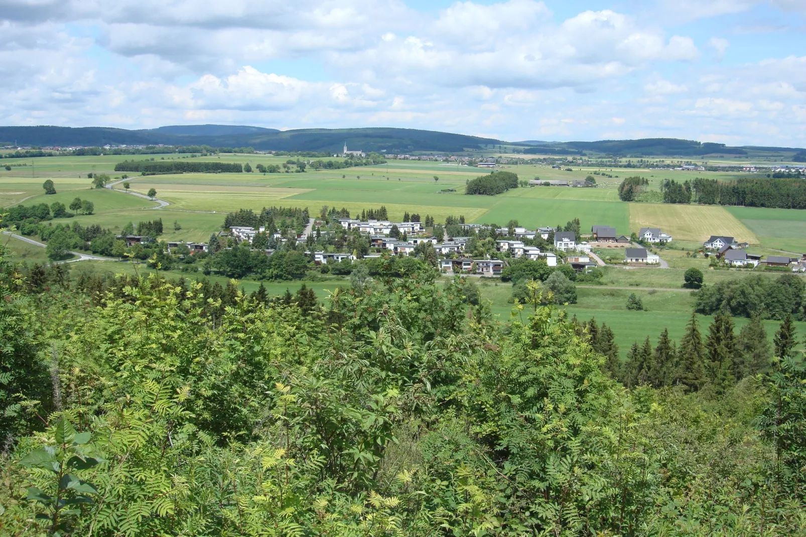 Köster-Areas within 5km in summer