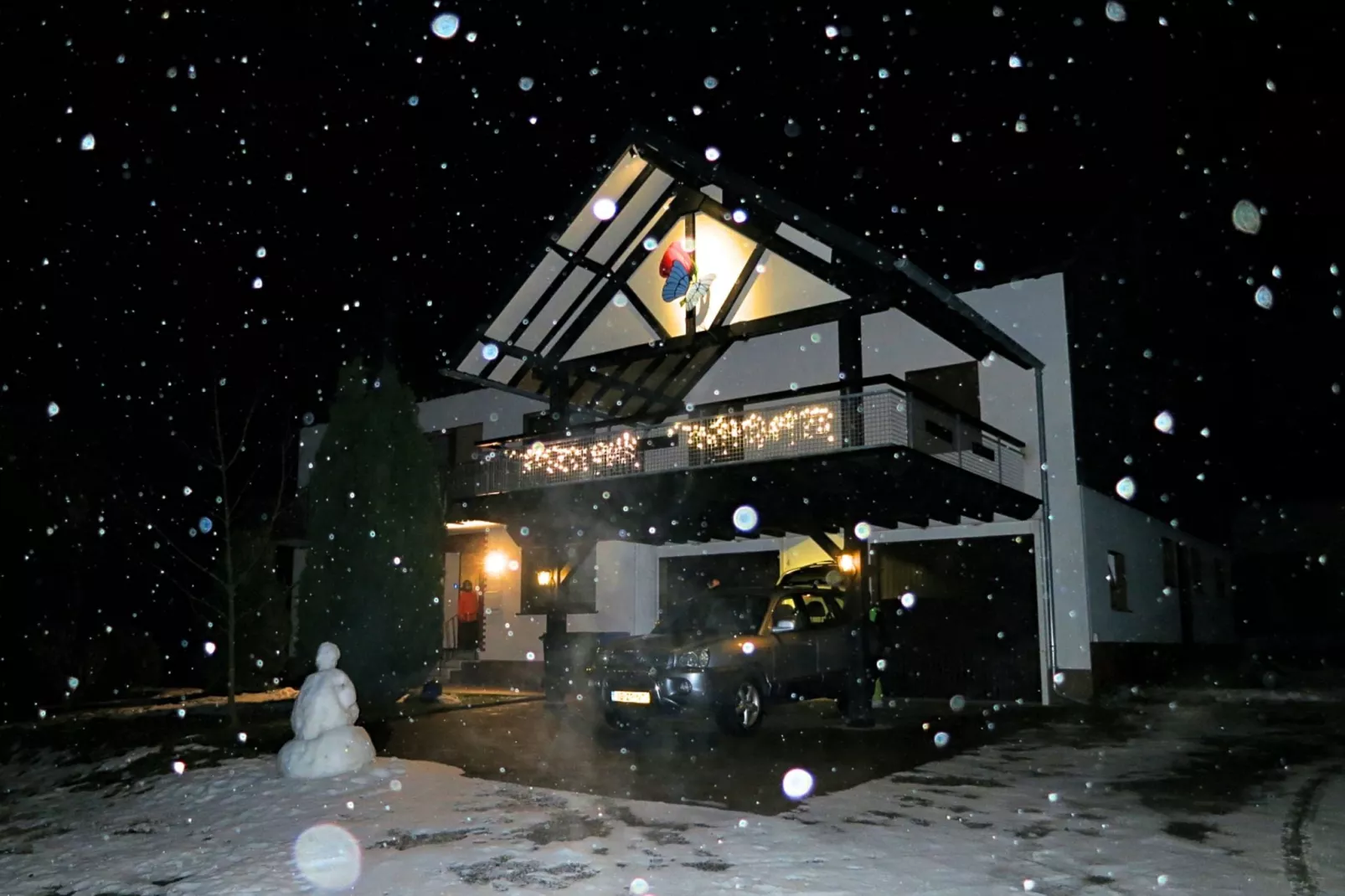 Liesen-Exterior winter