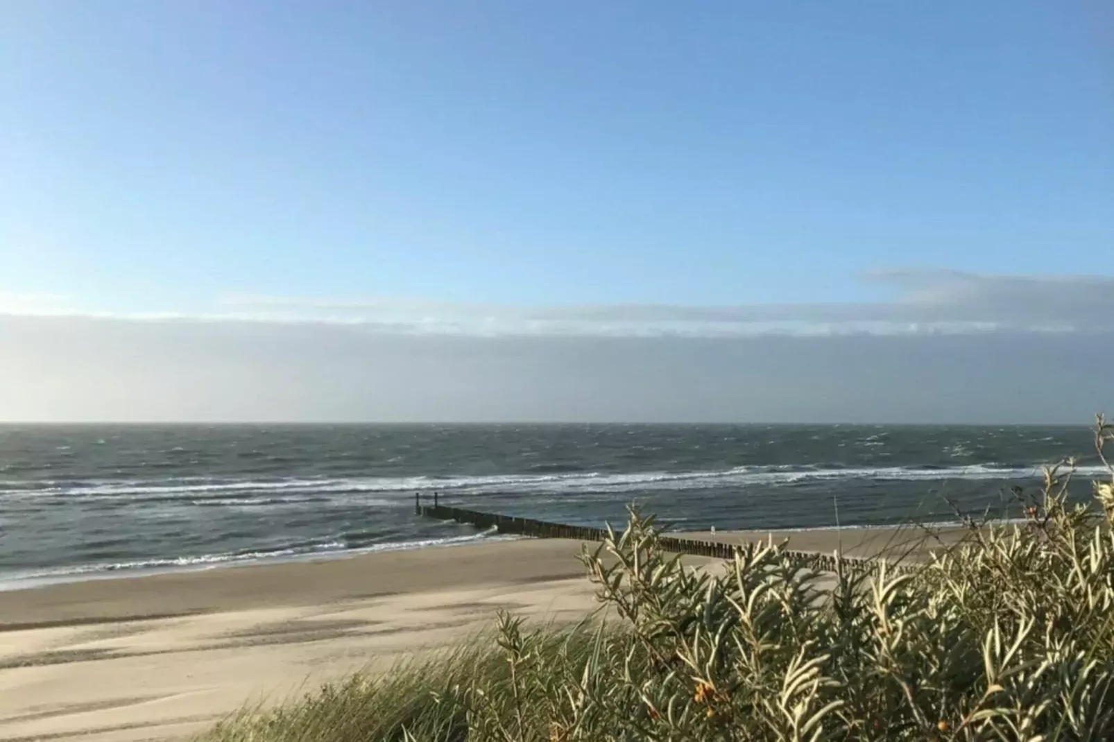 Hoge Weide 64-Gebiete Sommer 1 km