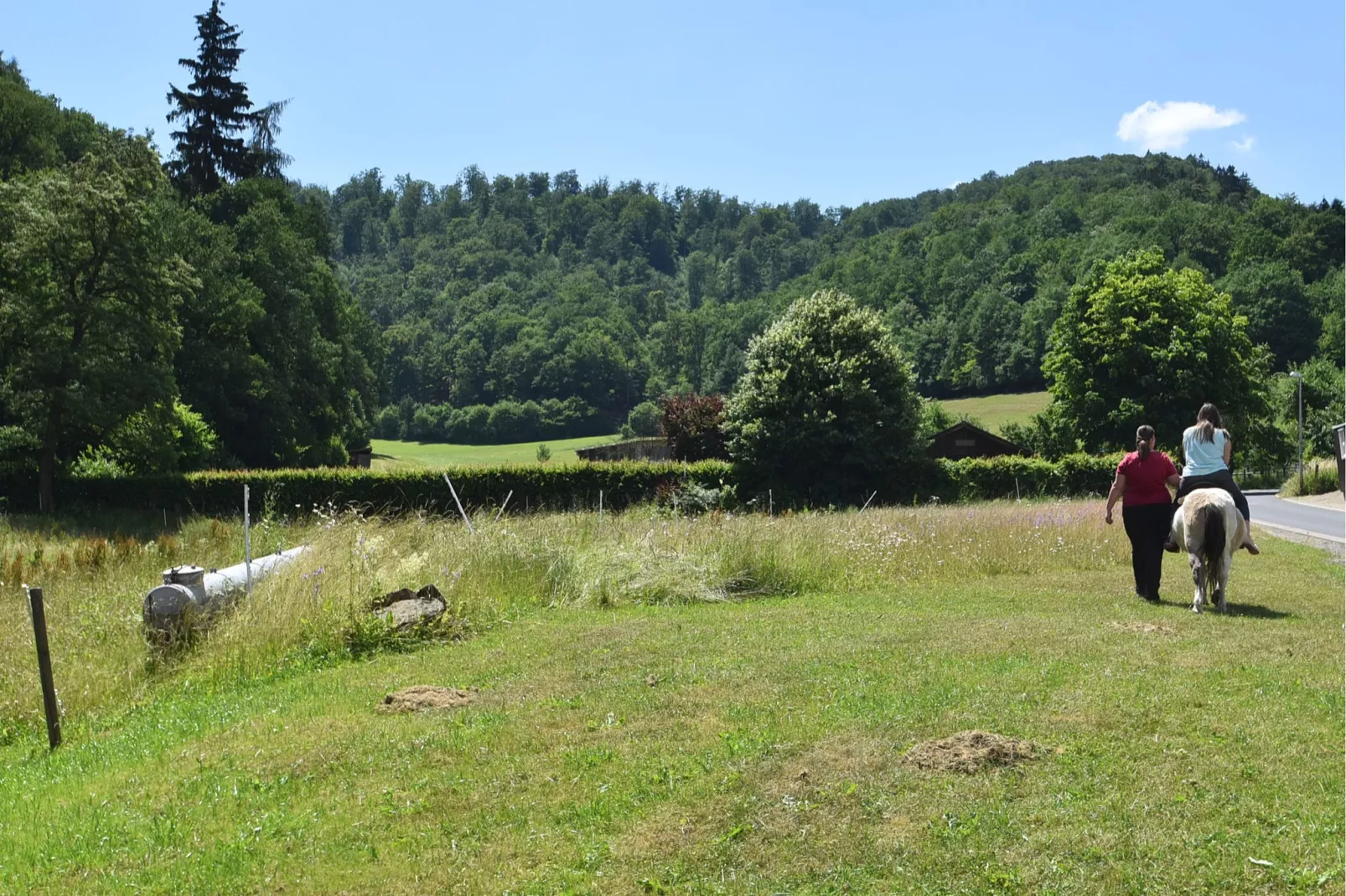 Am Ferienbauernhof - FW 7-Areas summer 1km