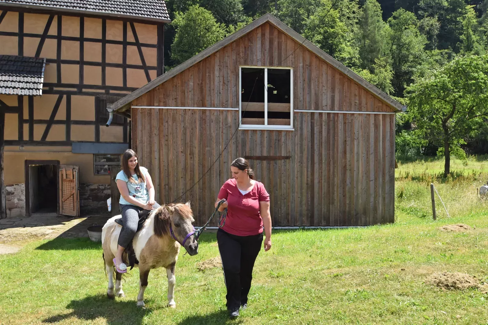 Am Ferienbauernhof - FW 7-Areas summer 1km