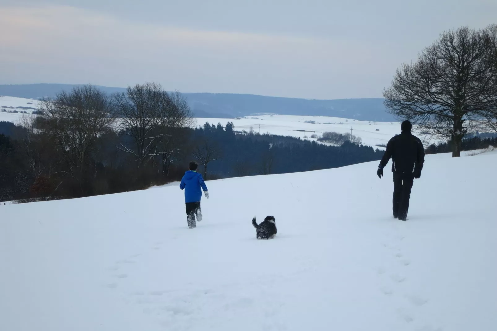 Liesen-Area winter 1km