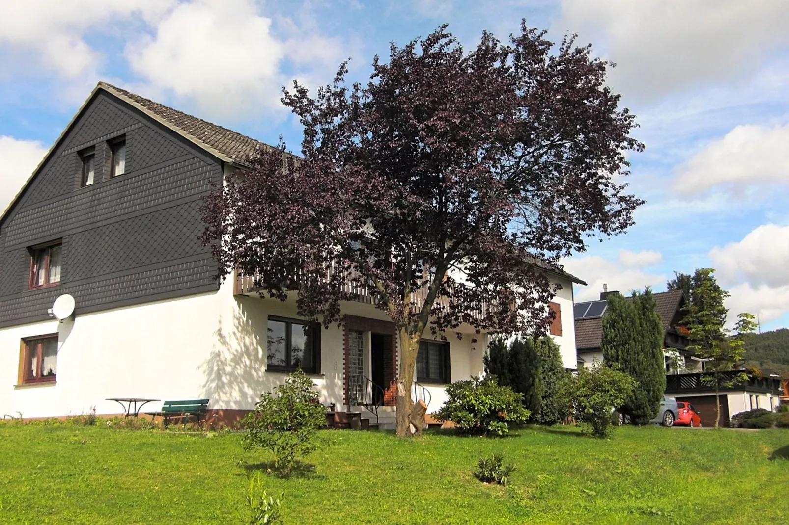 Liesen-Exterior summer