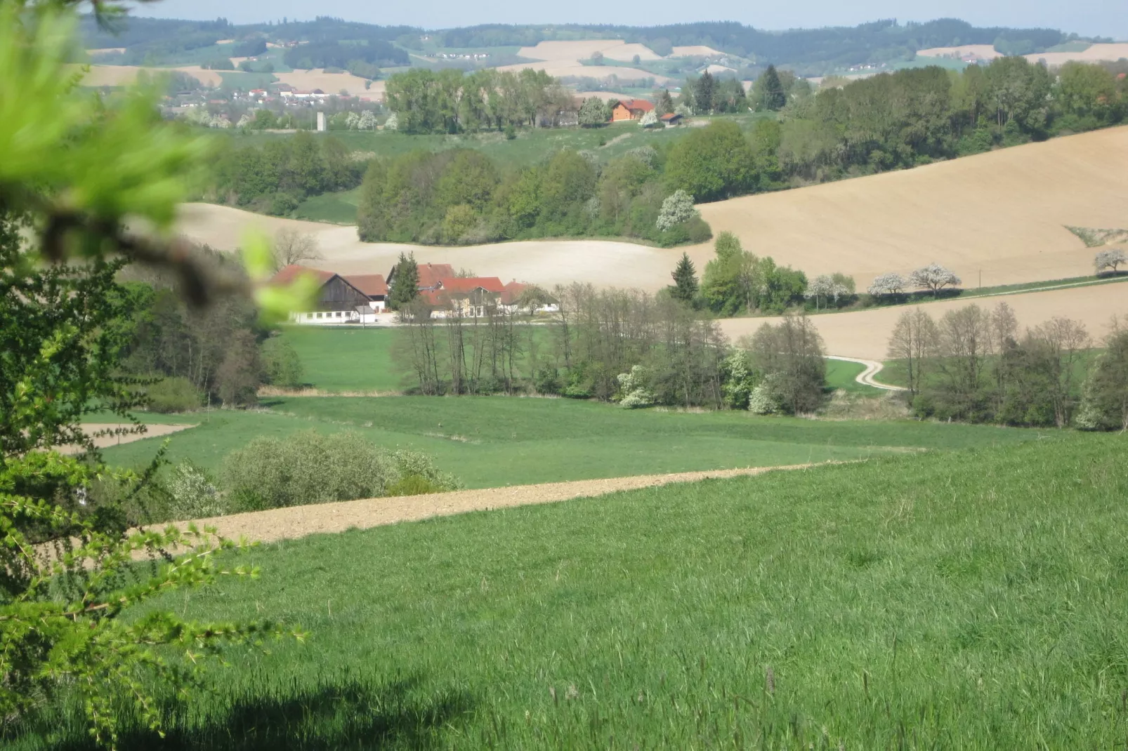 Am Ferienhof-Aussicht Sommer