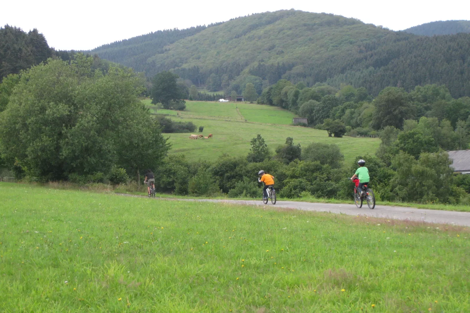 Liesen-Areas summer 1km