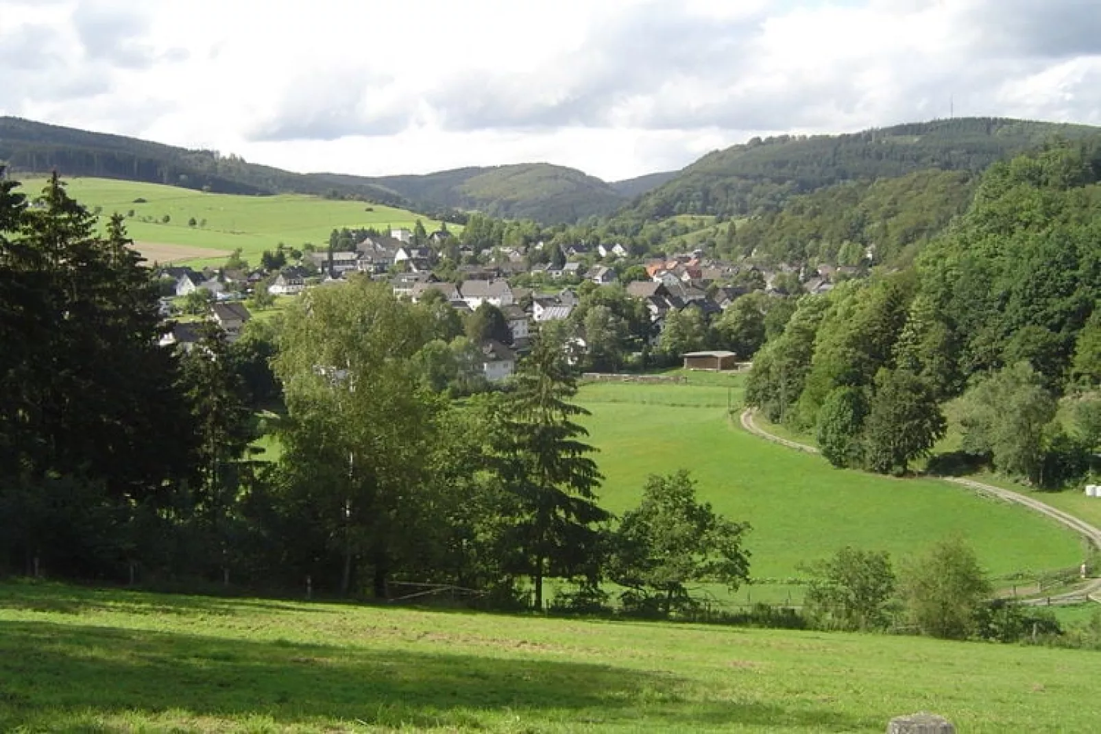 Liesen-Areas summer 1km