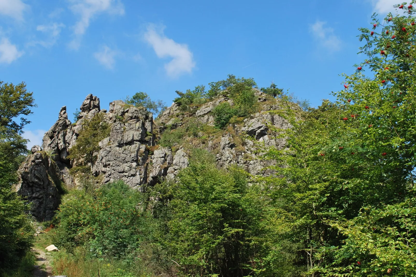 Liesen-Areas summer 20km