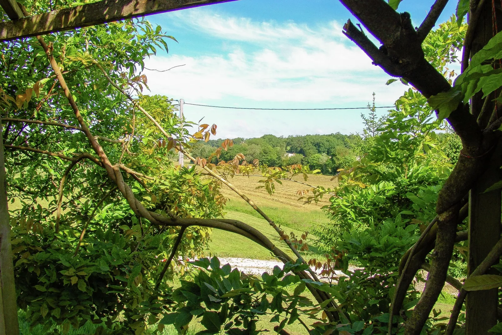Andante 4P-View summer