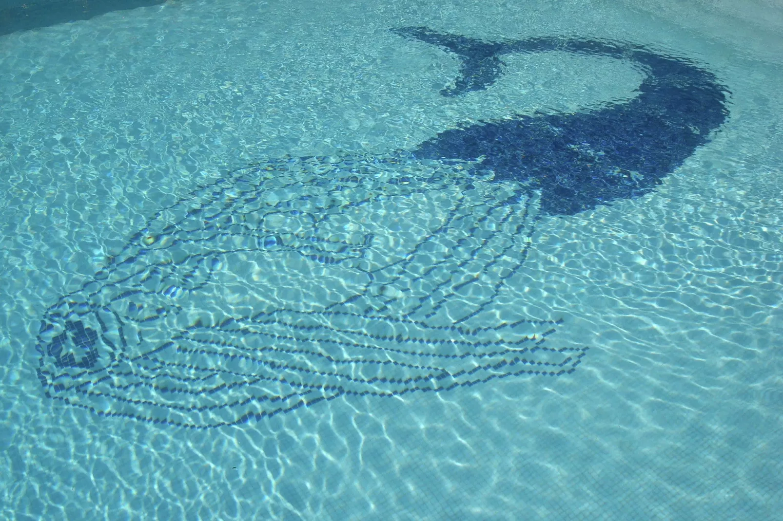 Mimosa-Piscine