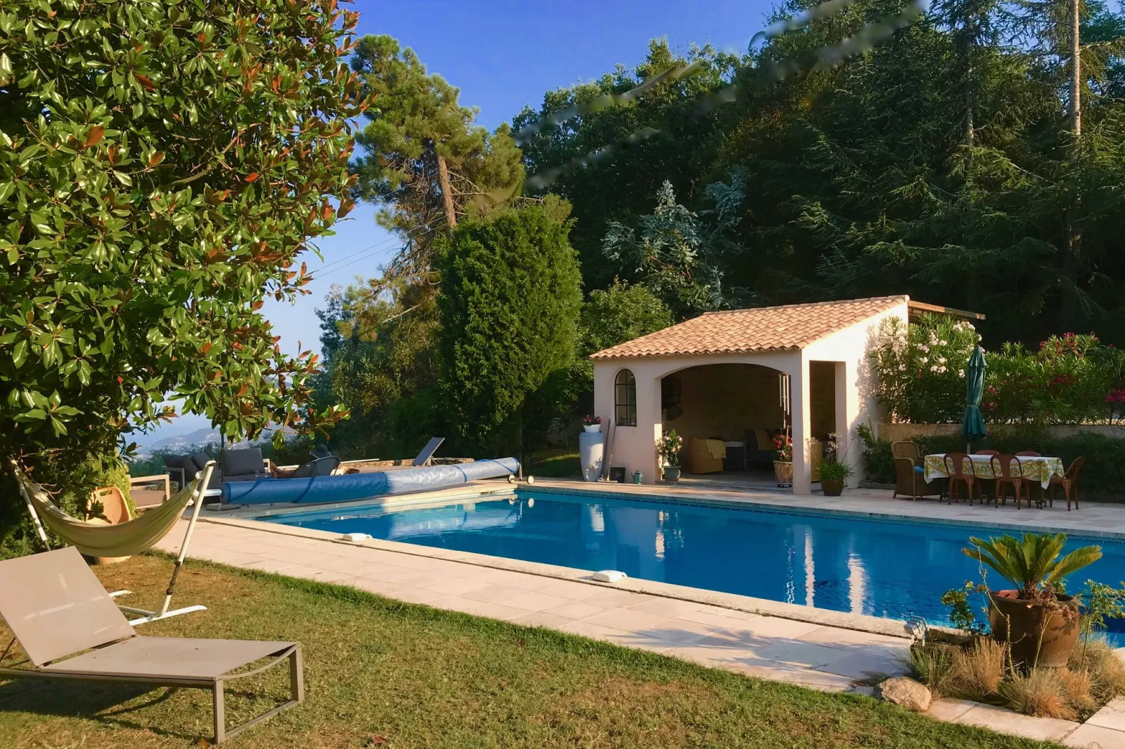 Mimosa-Piscine