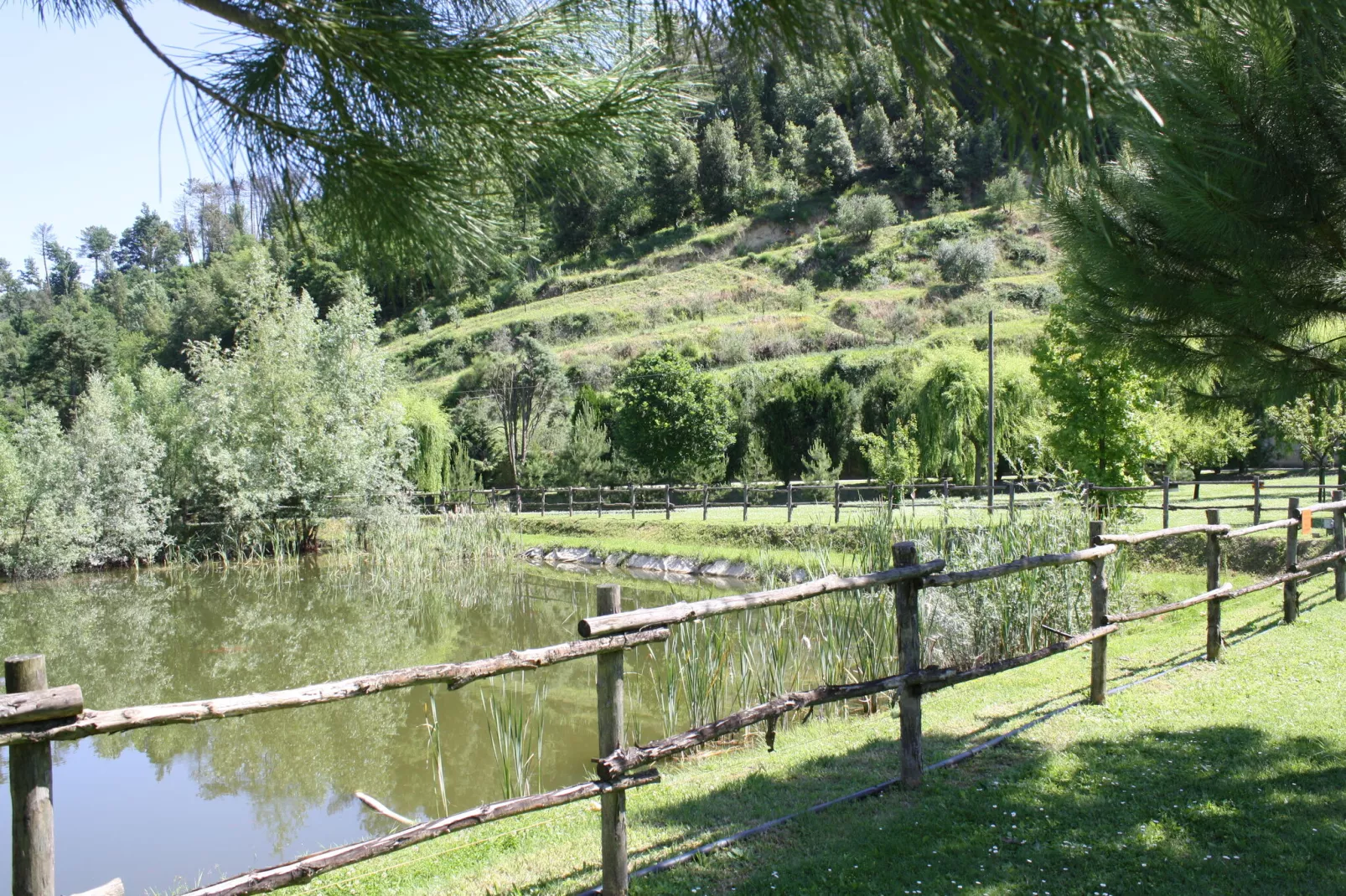 CASA ROSSA-Areas summer 1km