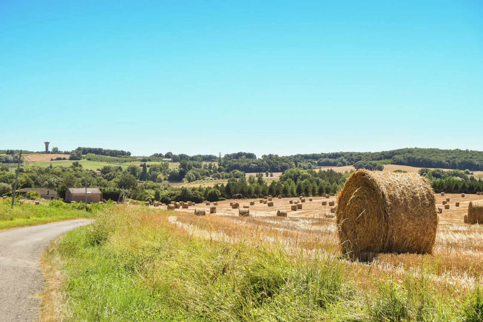 Andante 4P-Areas summer 1km
