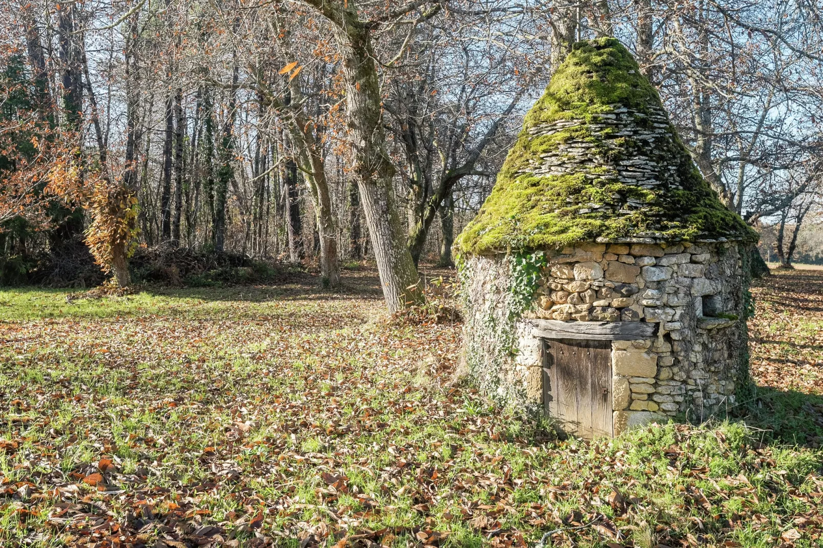 Maison de vacances Villefranche du Périgord Labardamier-Ambiance