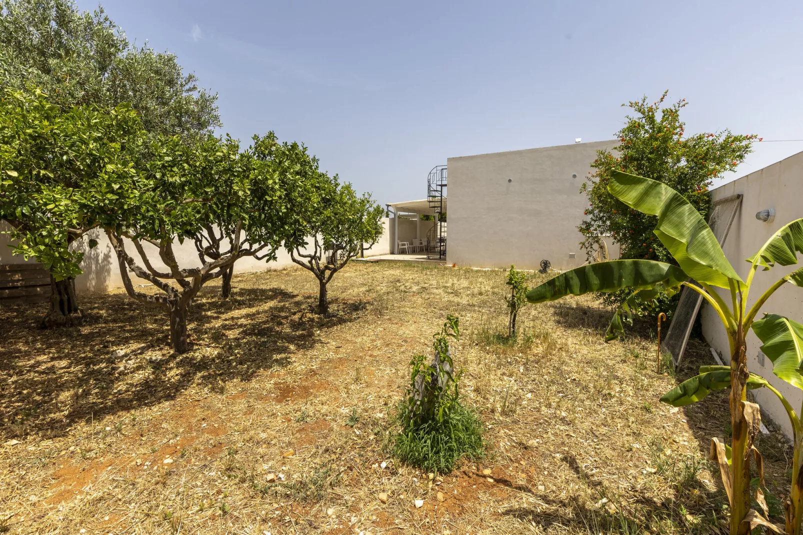 La casa di Isotta-Gardens summer