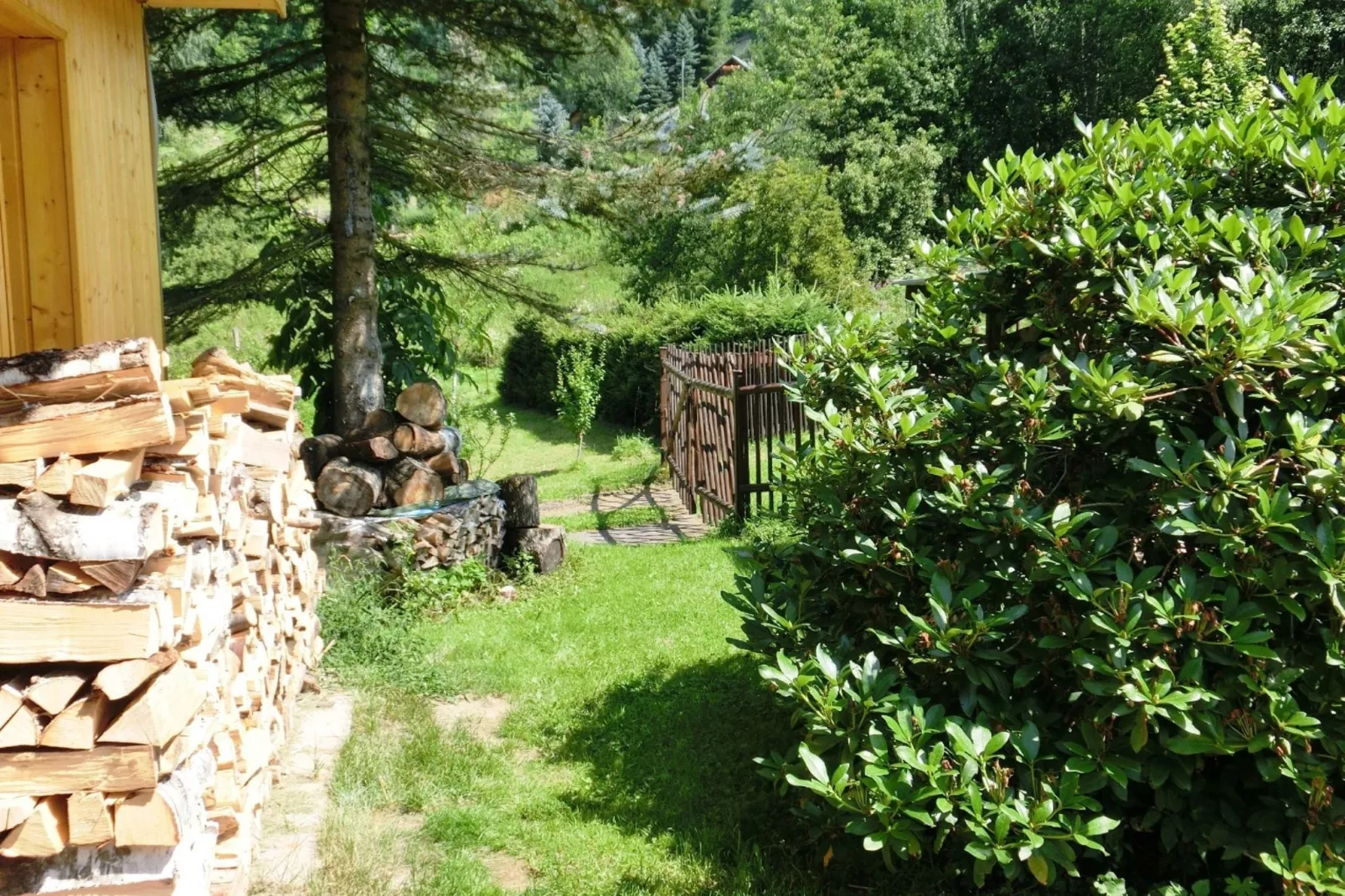 Steinbach-Hallenberg-Gardens summer