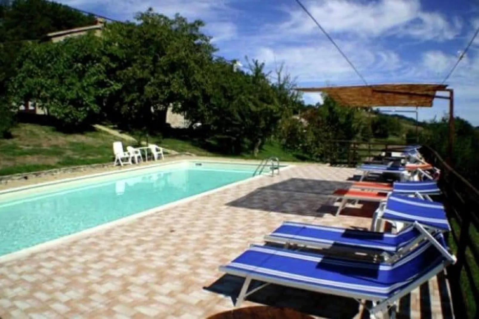 Tartufo-Swimming pool