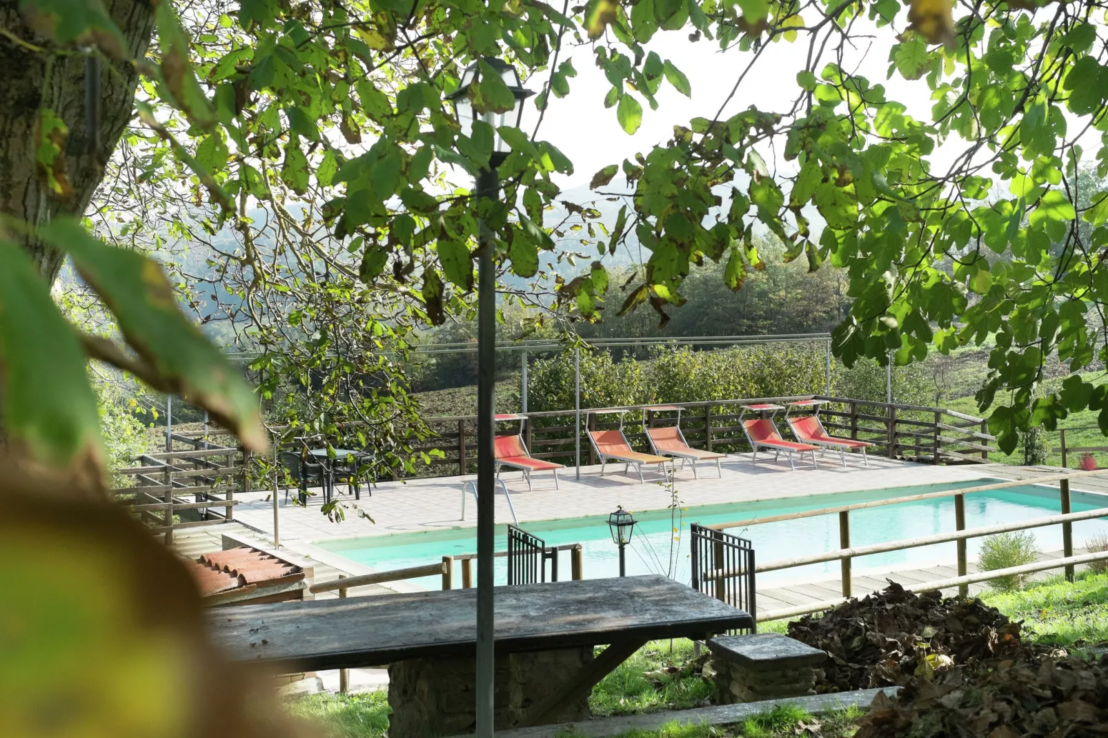 Tartufo-Swimming pool