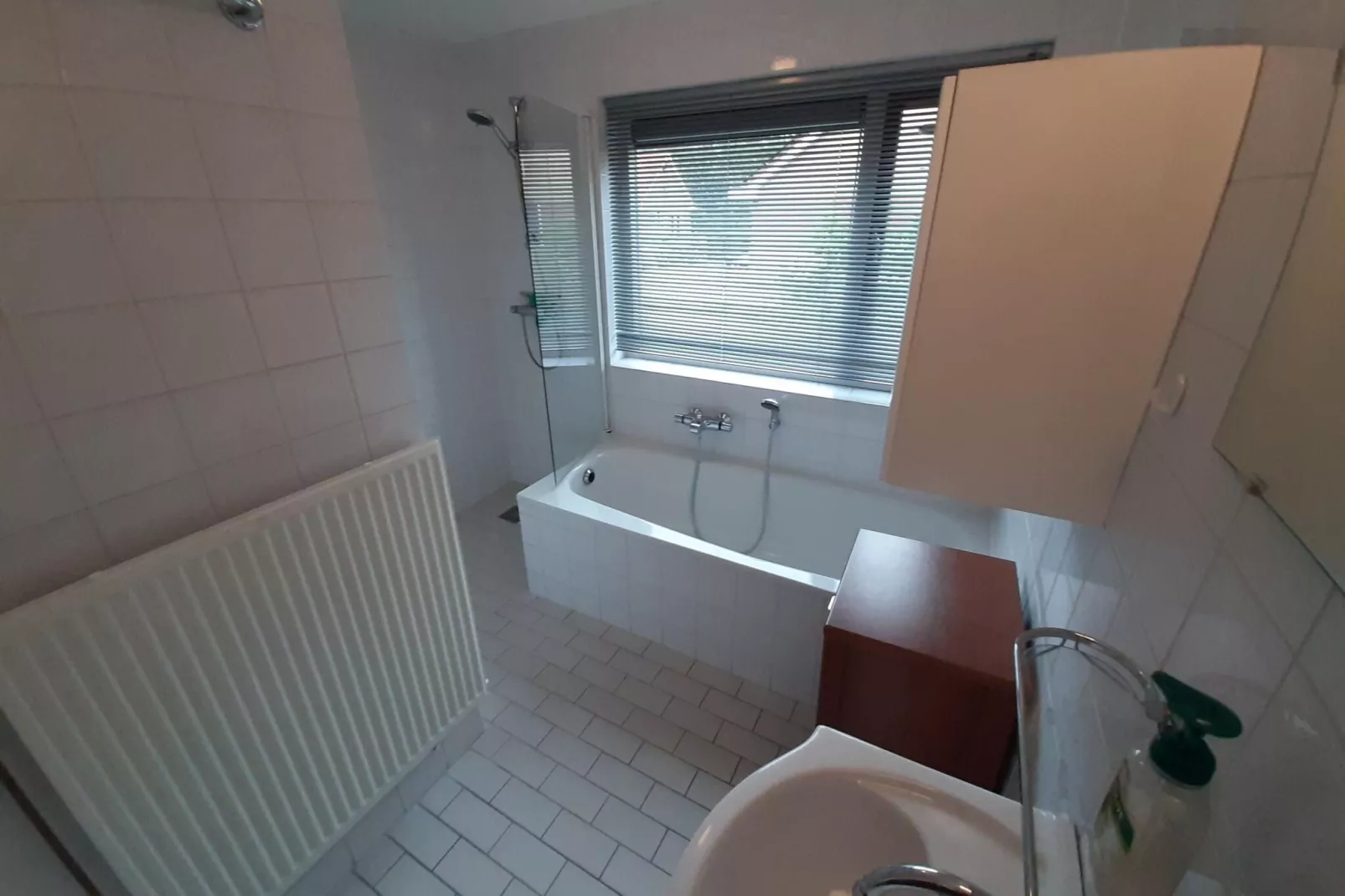 Vakantiewoning Blauw-Badezimmer