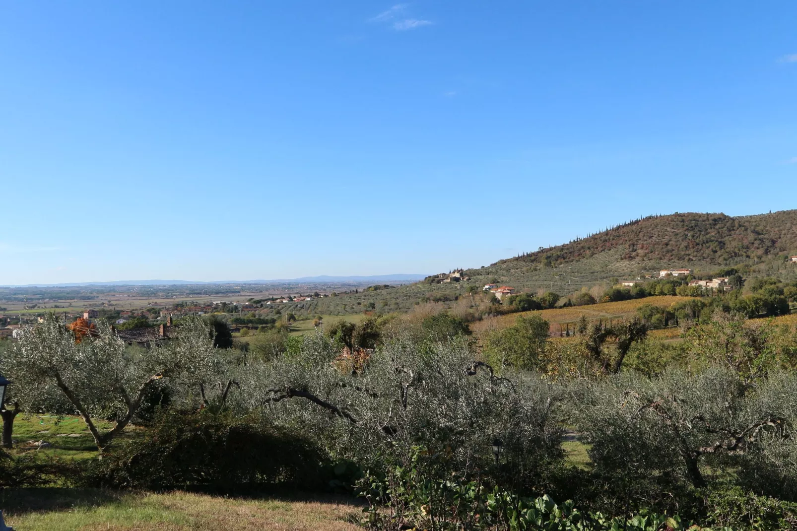 Fattoria Terontola-View summer