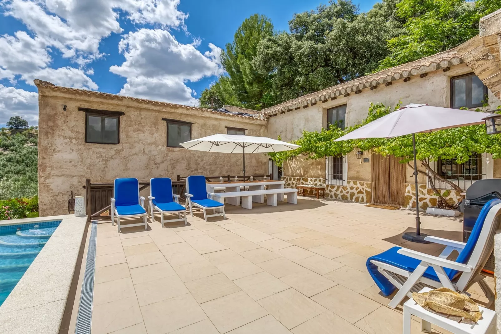 Villa Louisa-Gardens summer