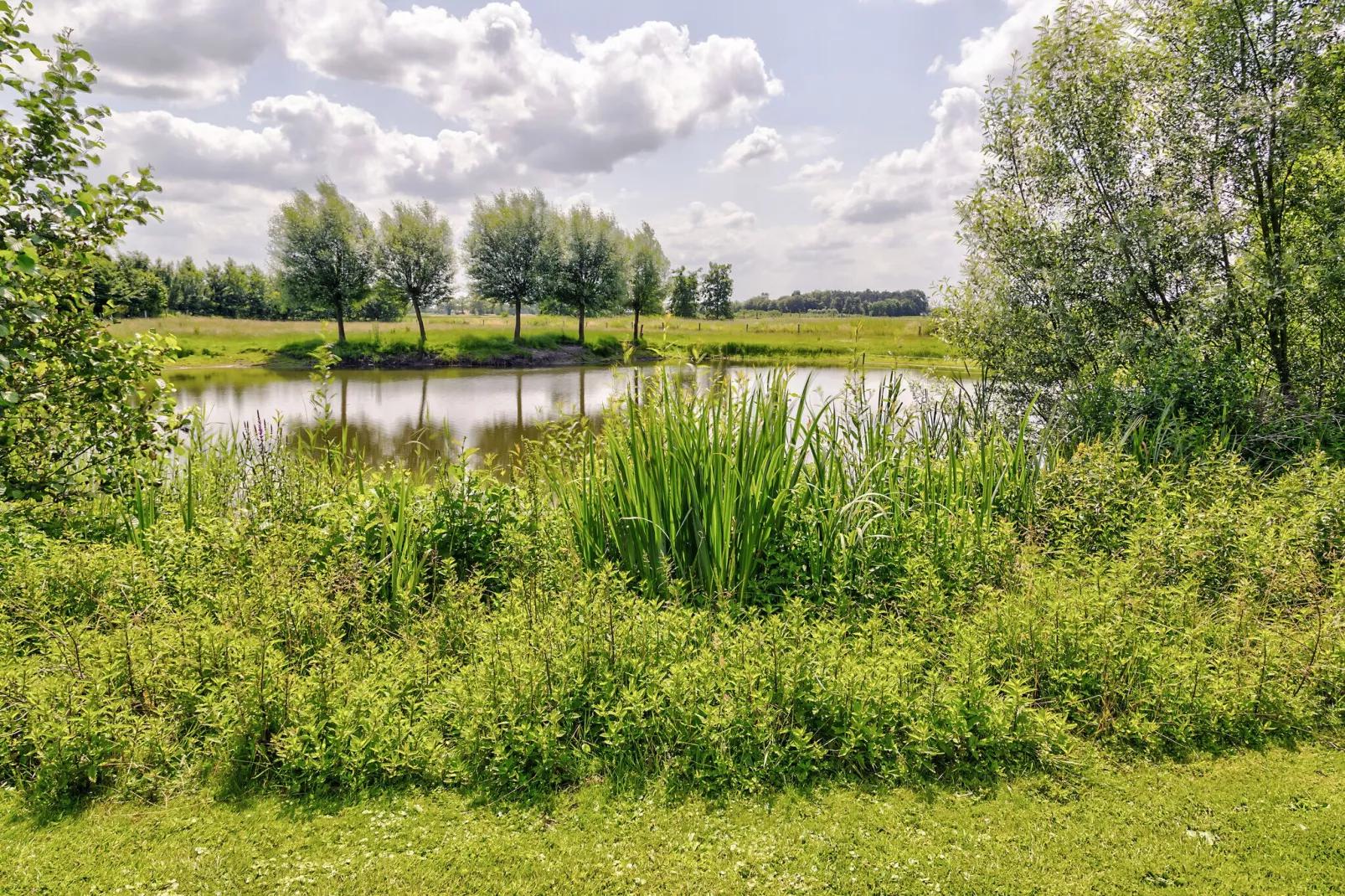 De Karkooi-Gebiete Sommer 5 km