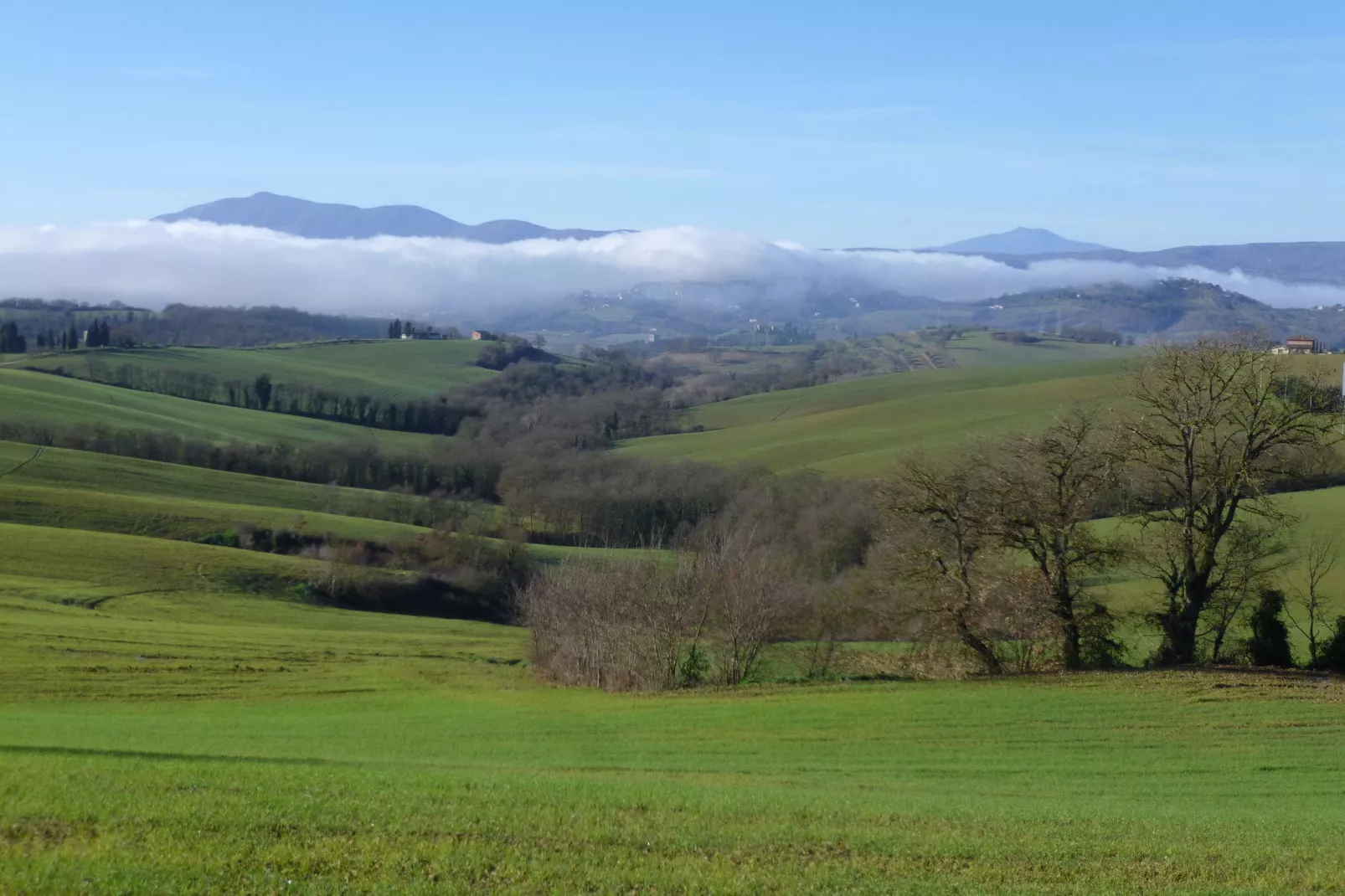 Pino-Areas within 1km in summer