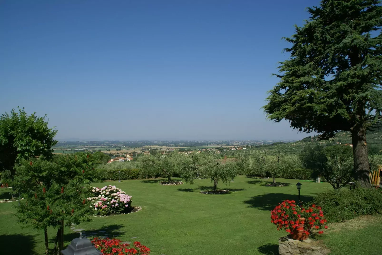 Fattoria Terontola-Gardens summer