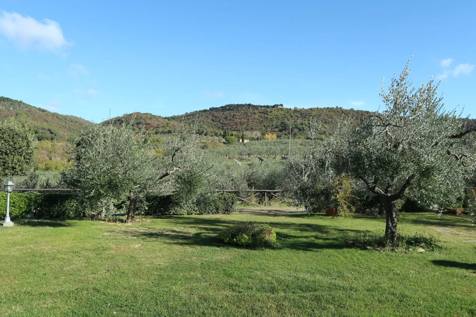 Fattoria Terontola-Gardens summer
