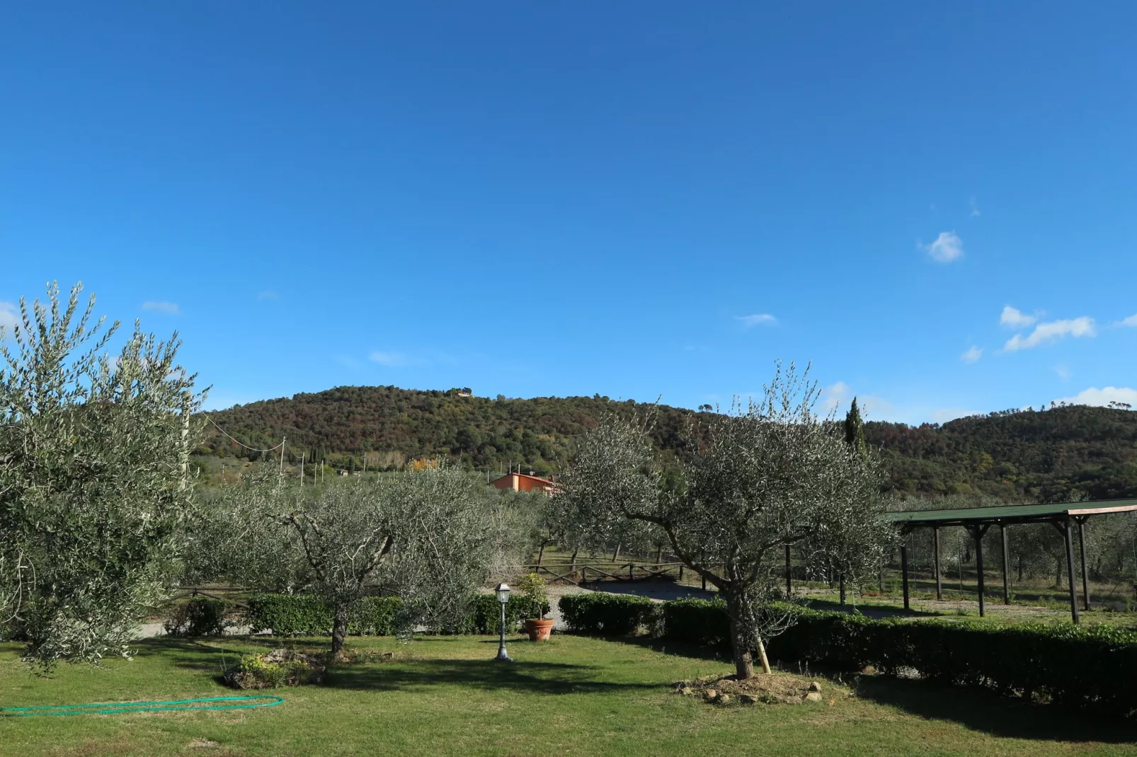 Fattoria Terontola-Gardens summer