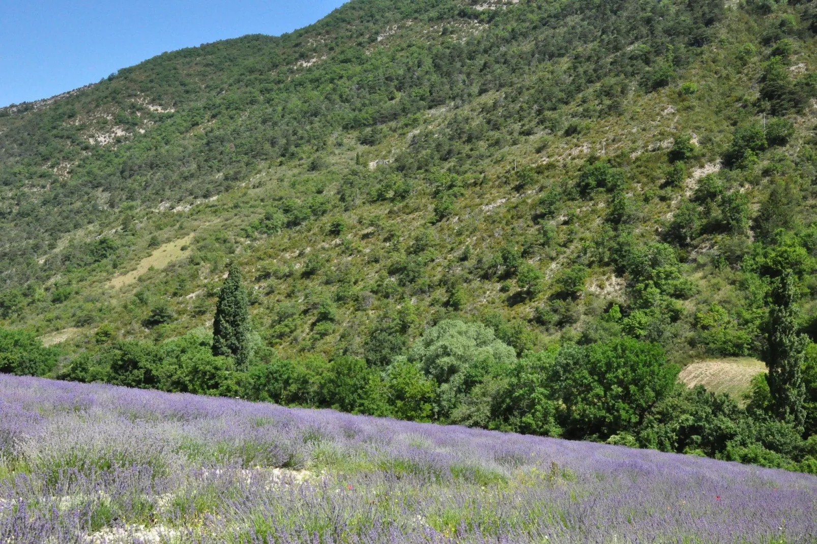 Maison Fayence-Areas summer 20km