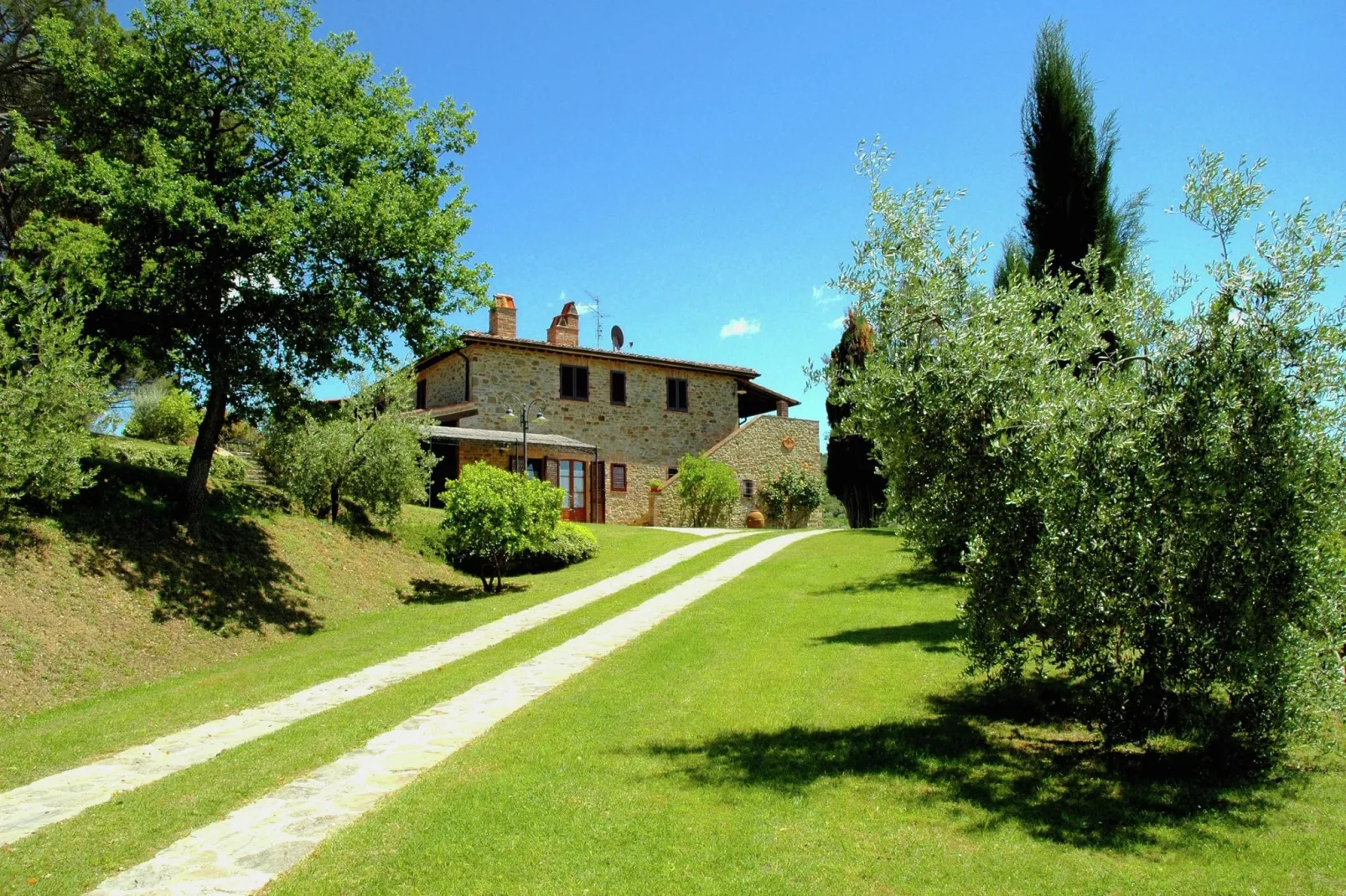 Cipresso-Exterior summer