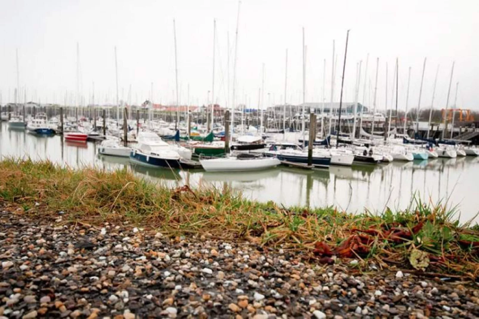 Charming Beveland-Areas summer 1km