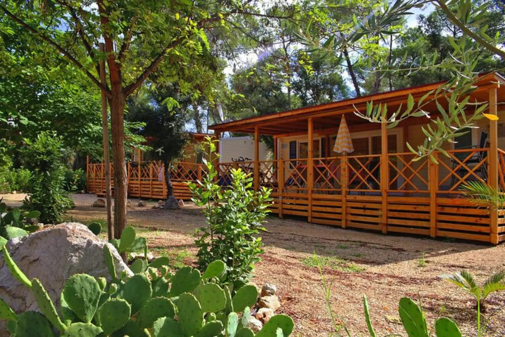Mobile Homes in Camping Park Soline - Biograd  - Type Dalmatia-Exterior summer
