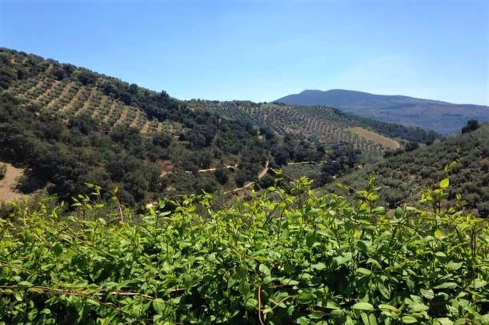 Casa El Serval-Areas summer 1km