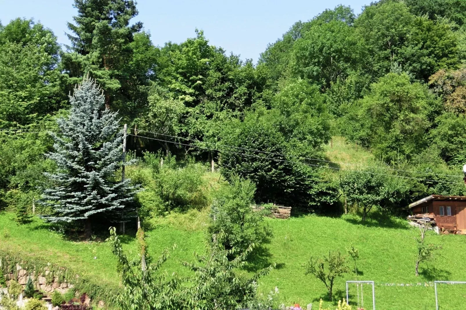 Floh-Seligenthal-Jardin d'été