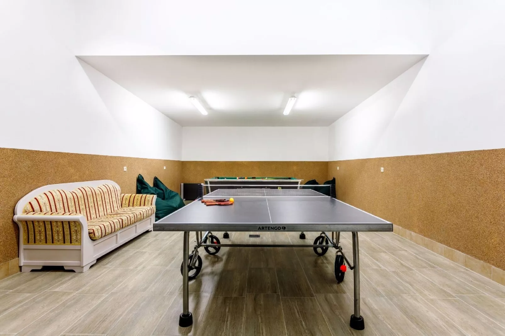 House Torine-Recreation room