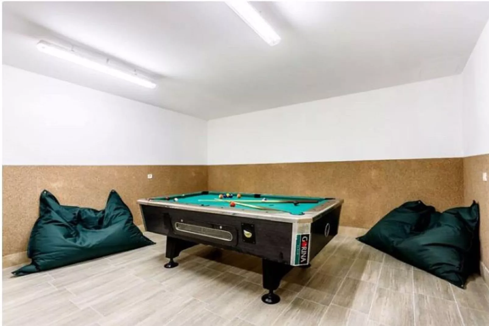 House Torine-Recreation room