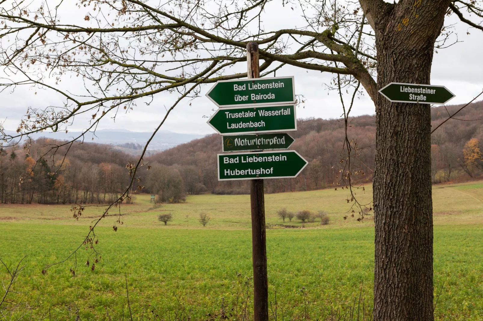 Hohe Klinge-View summer
