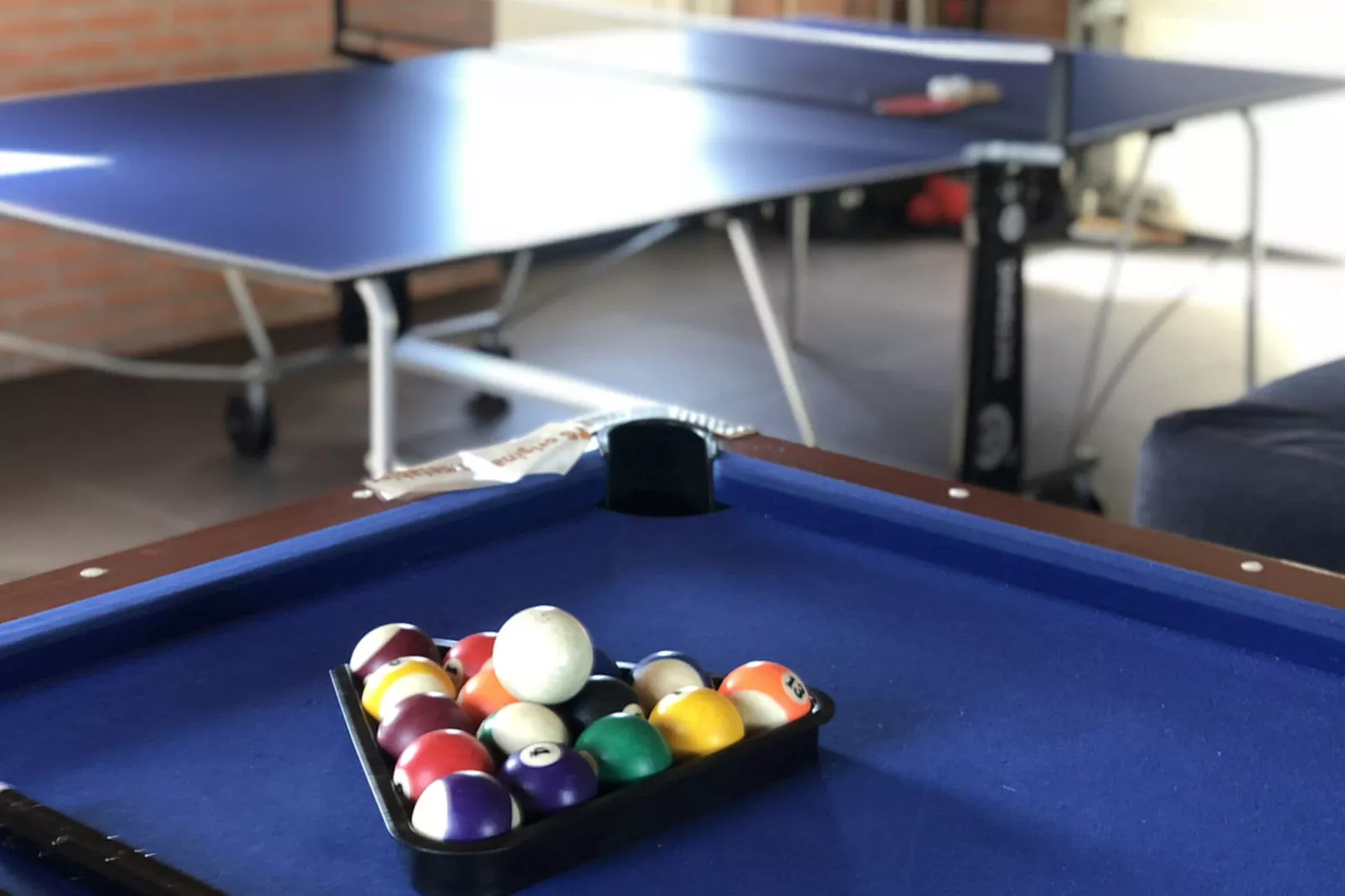 Vakantiepark Eiland van Maurik 5-Recreation room