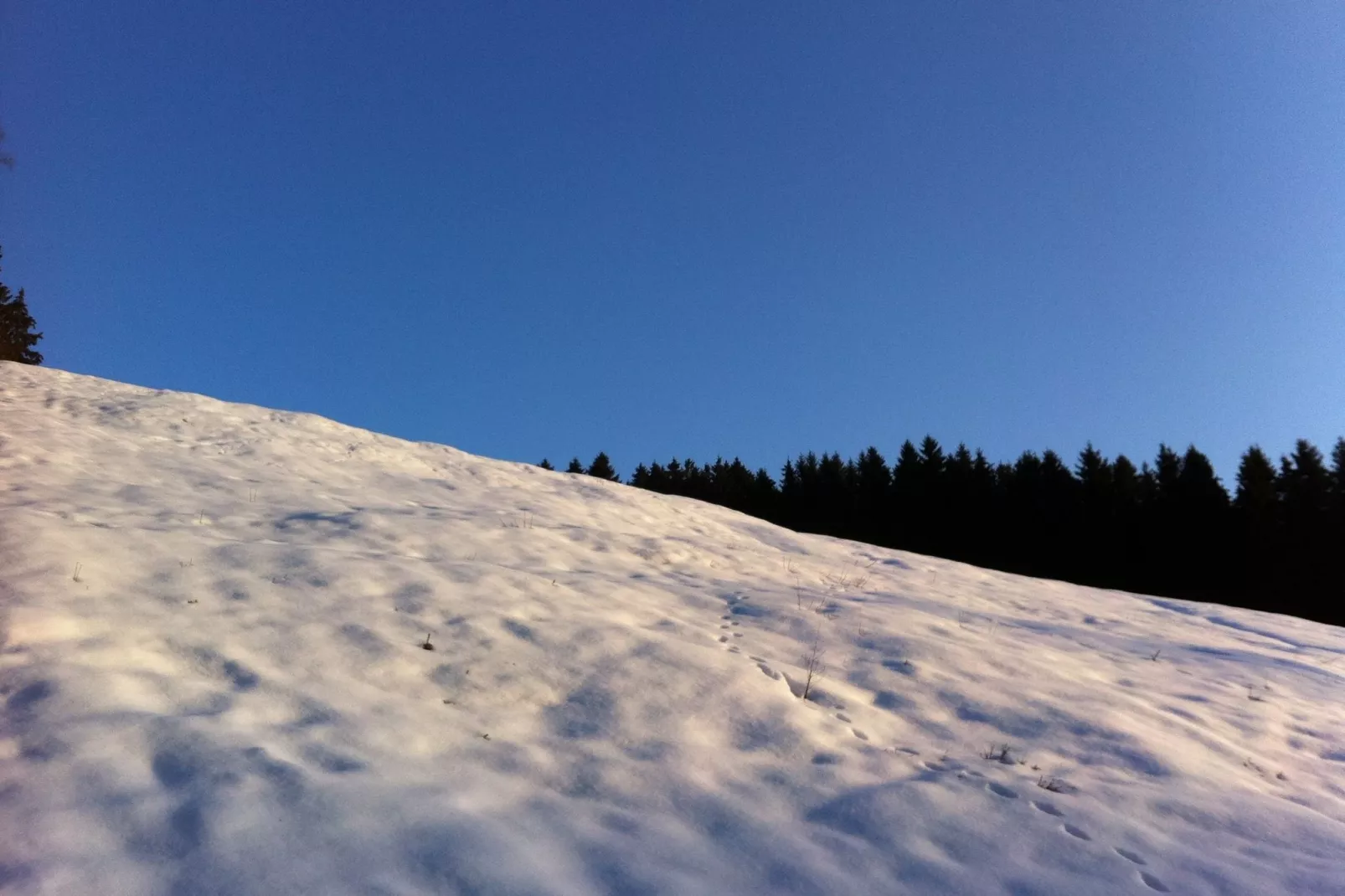 Le Goût du Bonheur-Area winter 1km